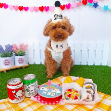 애견케익 댕댕이치킨 수제간식 고깔모자 애견커스텀 파티상차림