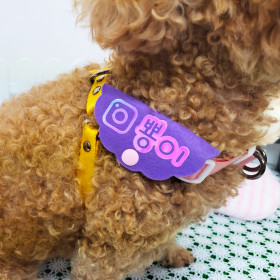 꽃구름 네임택 멍냥이 인식표 핸드메이드 애견인식표 반려동물네임택